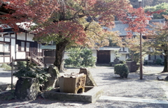 紅葉下の手水舎