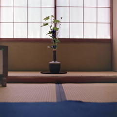 出迎える花瓶