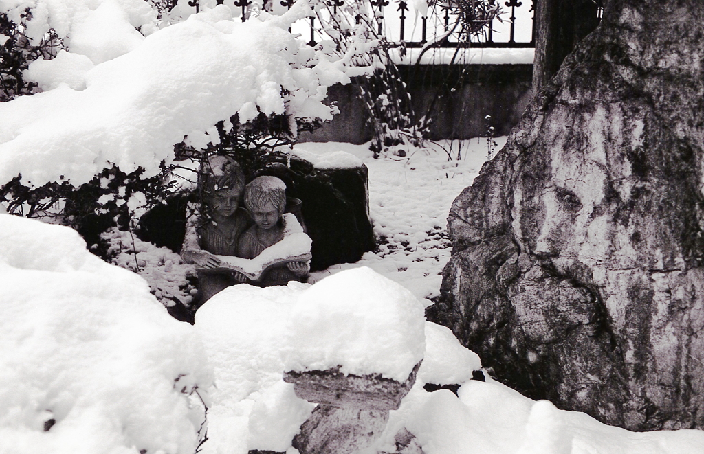 雪降る中で本を読む兄弟