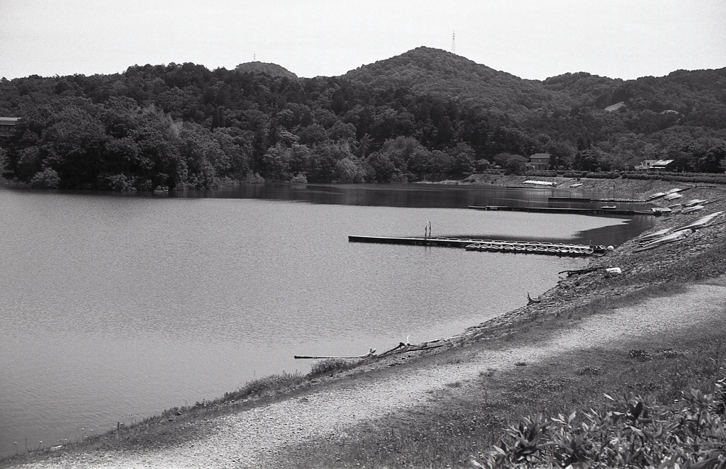 古山の見える入鹿の風景　～RETINETTE＆AGFA APX100