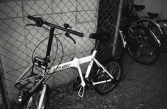 駐輪場のLeft alone