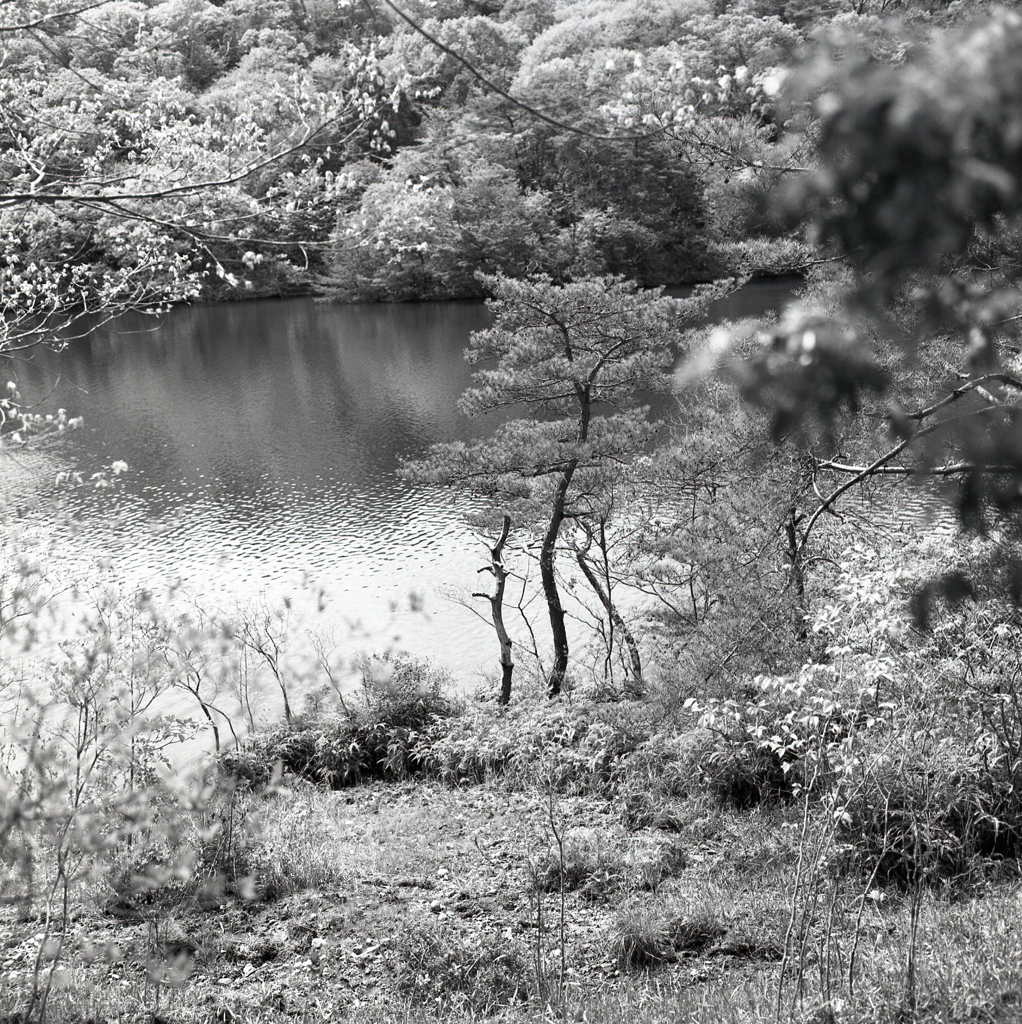 湖面の風景