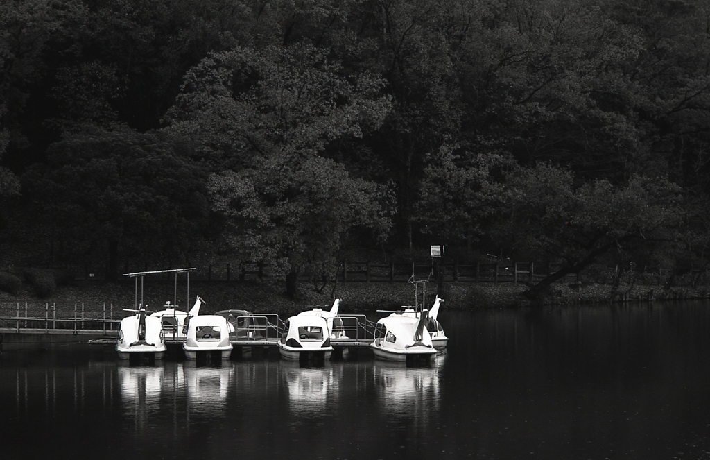 鏡面に浮かぶボート