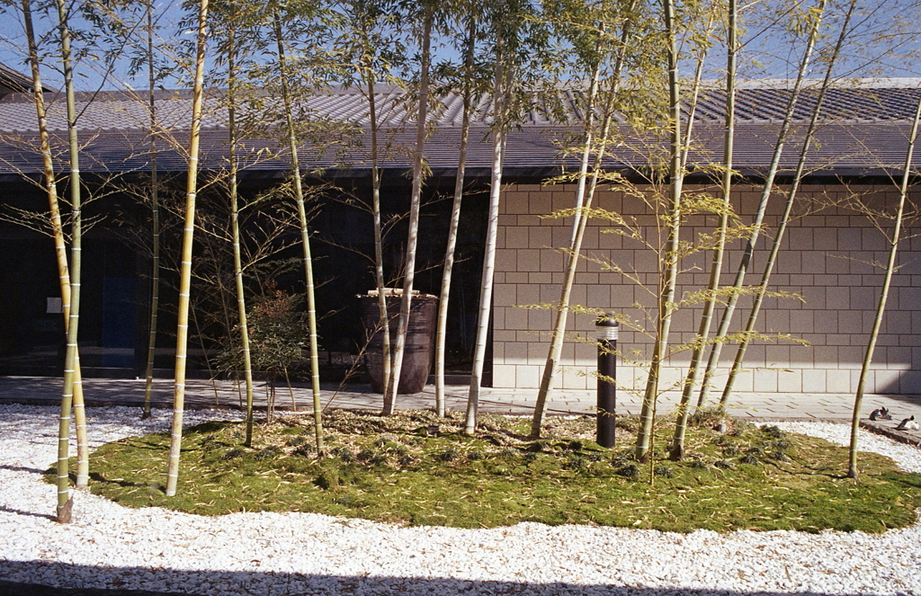 竹を施した中庭