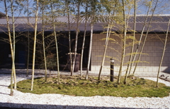 竹を施した中庭