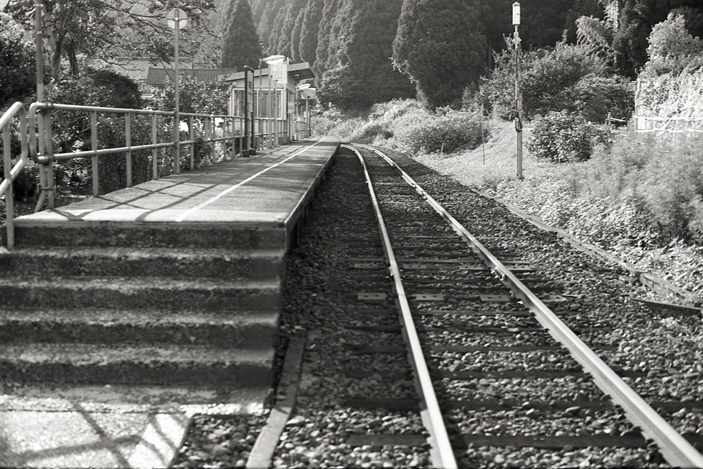 通りかかった越美北線の駅