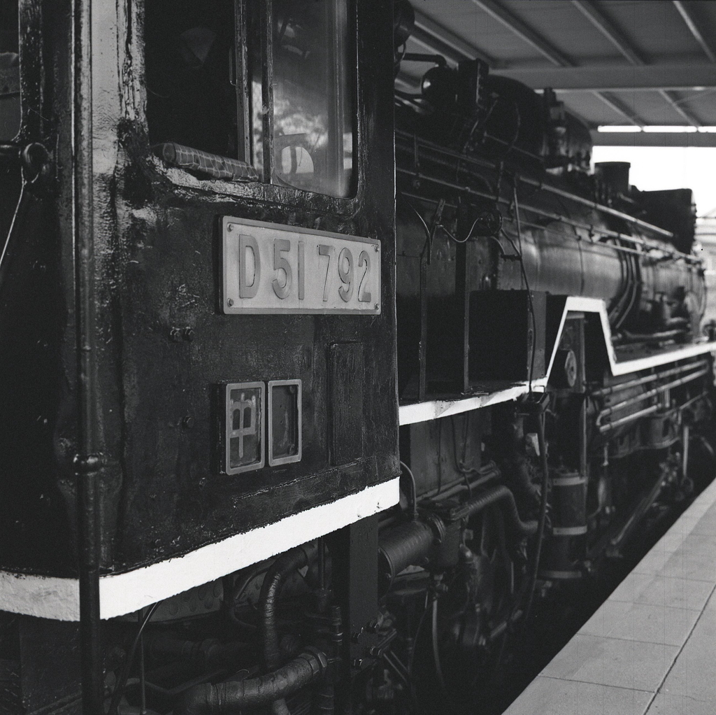 Ｄ５１ＢＯＤＹ　～Zenza Bronica EC 試写