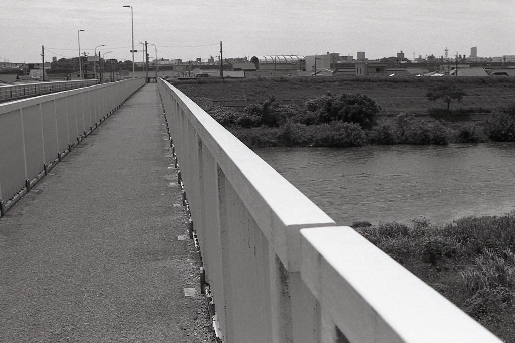 正平ちゃんなら自転車で渡れないだろな…（笑