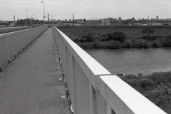 正平ちゃんなら自転車で渡れないだろな…（笑