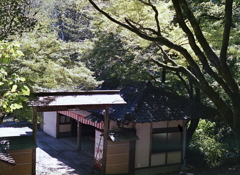 夏の墓参
