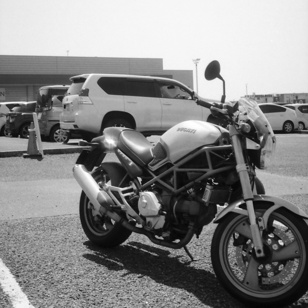 DUCATI