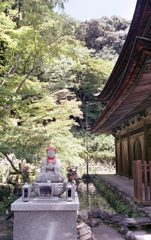 陽ざしの緑の縦写