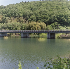 辿り着いたのは入鹿池だった。