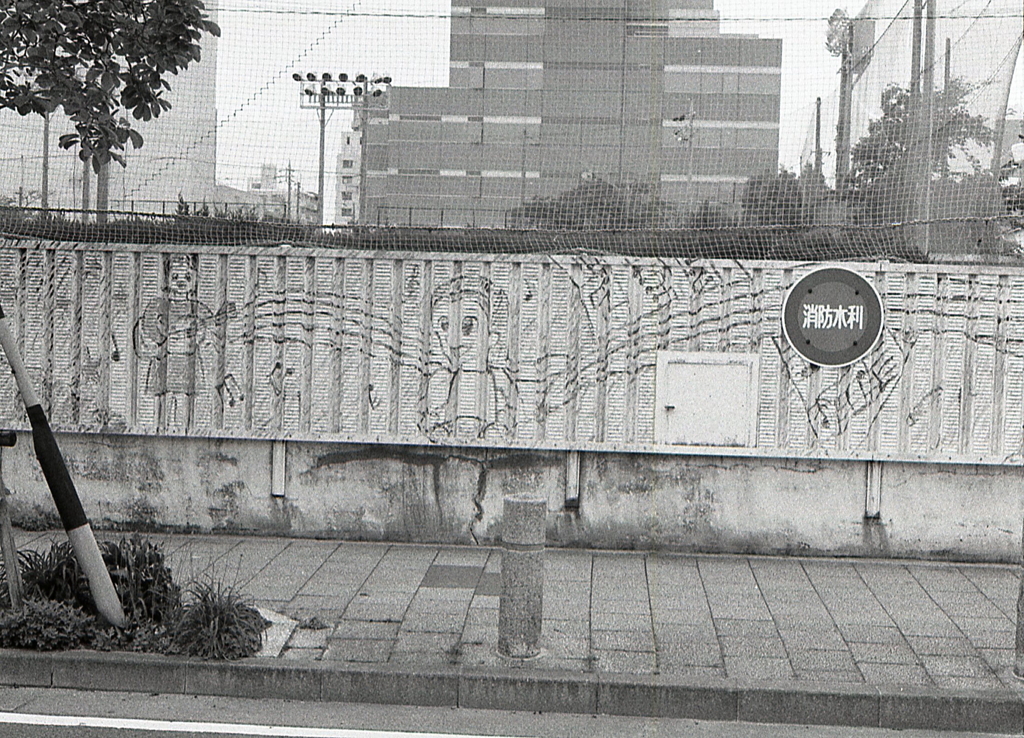 桜が丘中学校の塀