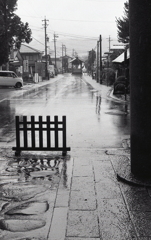 鳥居下から雨の参道