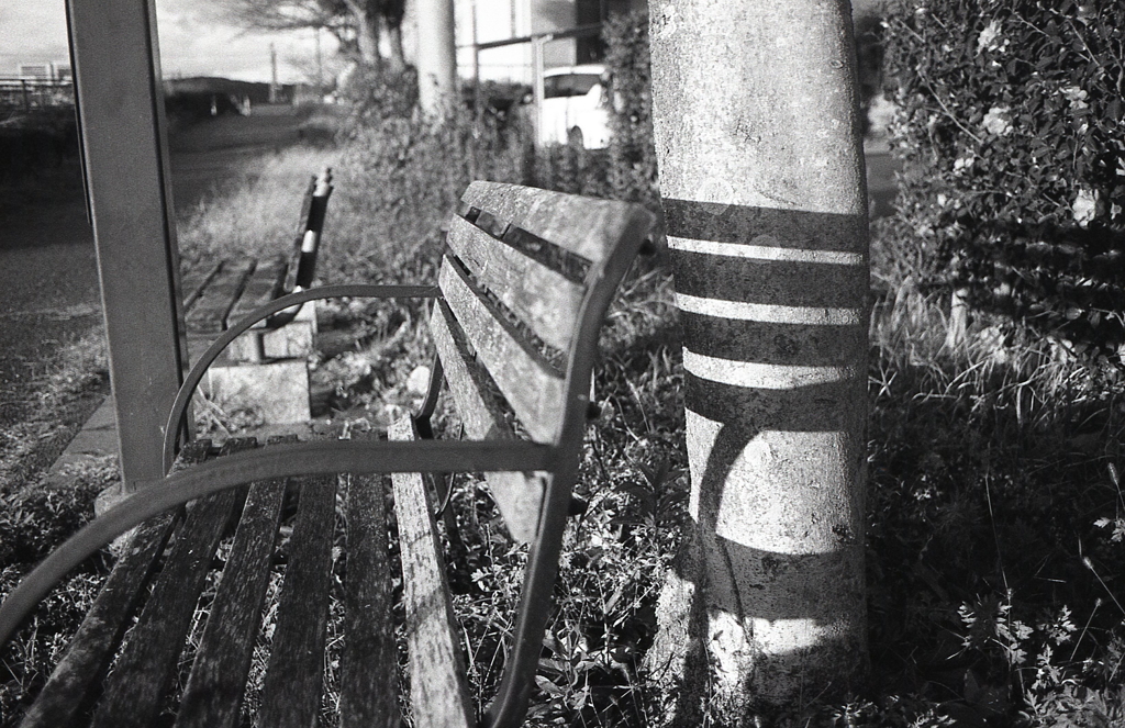 西日とベンチのライン