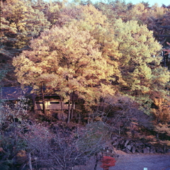 日没前の燃え