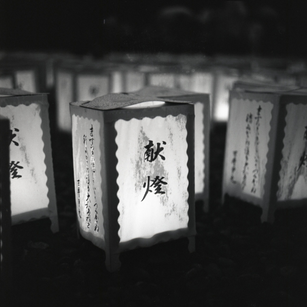 献燈