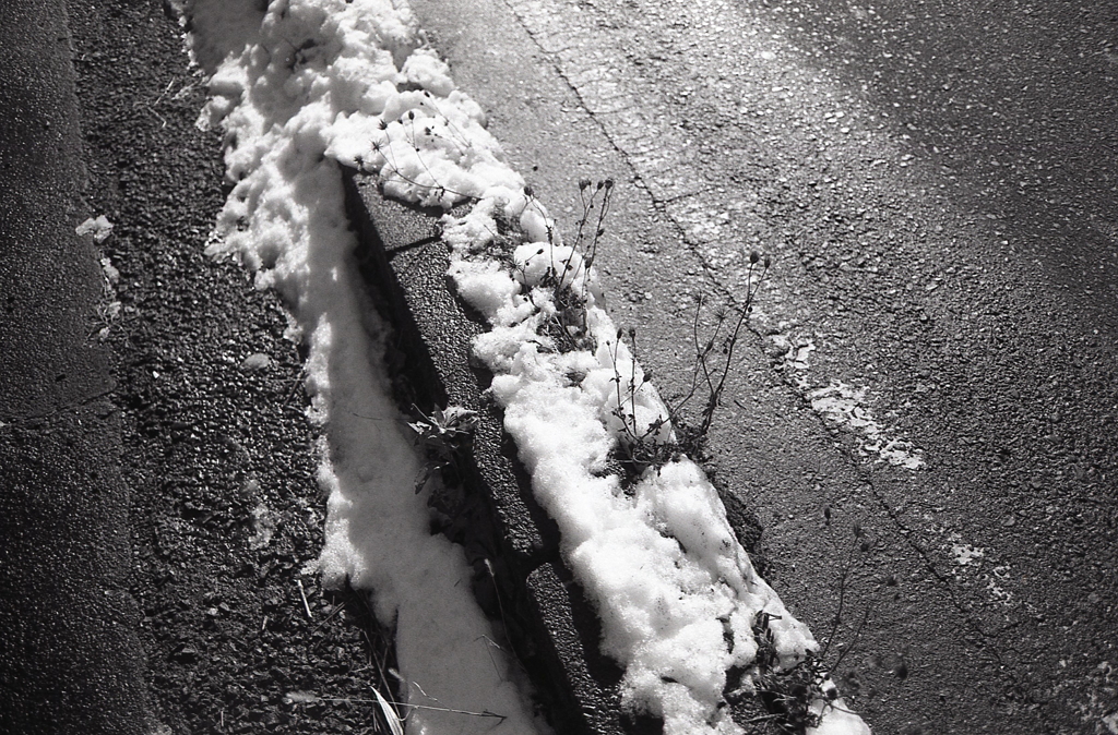 路肩の雪と雑草