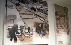 厳しい作業の寒天造り