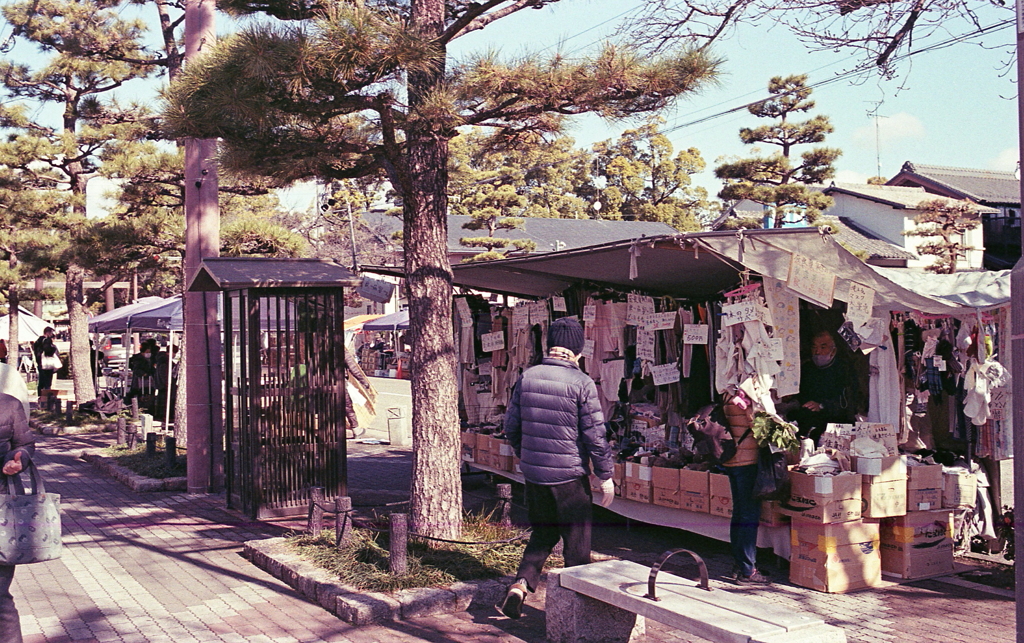 松並木とボックス電話に露店の風景