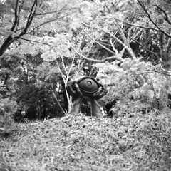 巨眼の像　～付録・定光寺公園