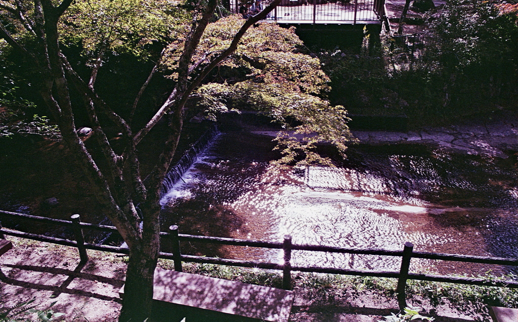 瀬戸・岩屋堂の岸辺