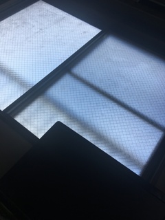 昨夜より熱が上がってきた。