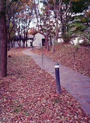 「無言館」への道