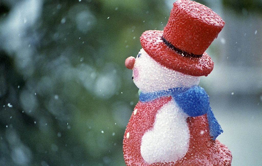 寂しそうに空を見つめて…