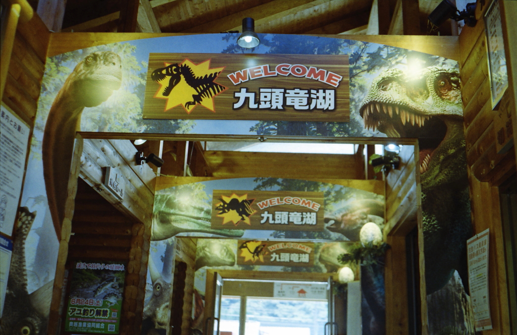 もう福井県は恐竜一色なのでしょうか？（笑