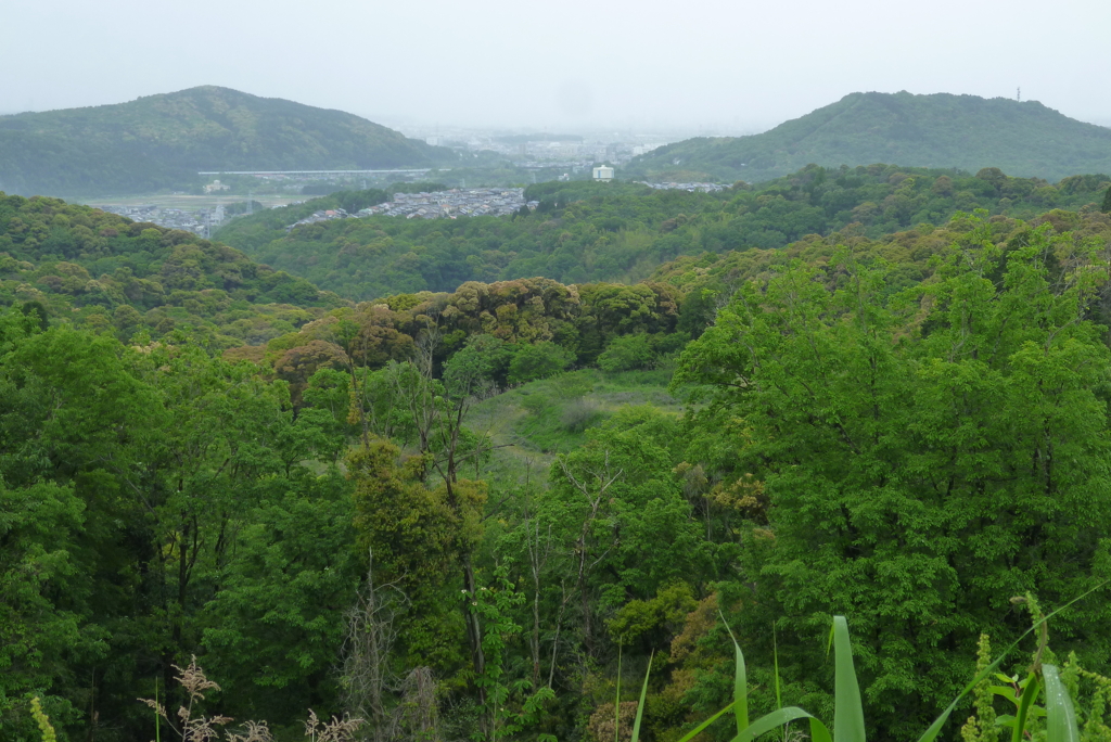 定光寺の広場からの山肌