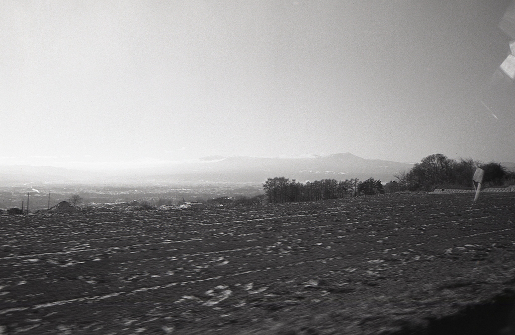 これはもしかして…