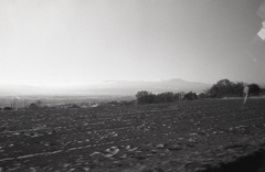 これはもしかして…