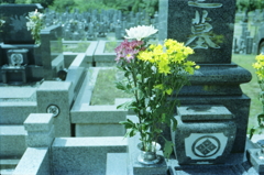 墓石を磨き花を供えて