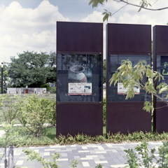ミュージアムの展示案内