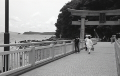 桟橋にかかる大鳥居