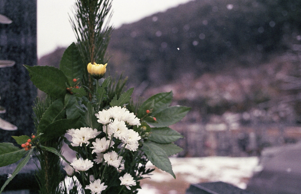 元日雪のお墓参り