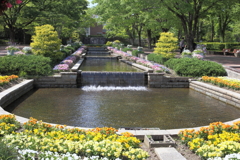 春色のカナール　～春日井市都市緑化植物園