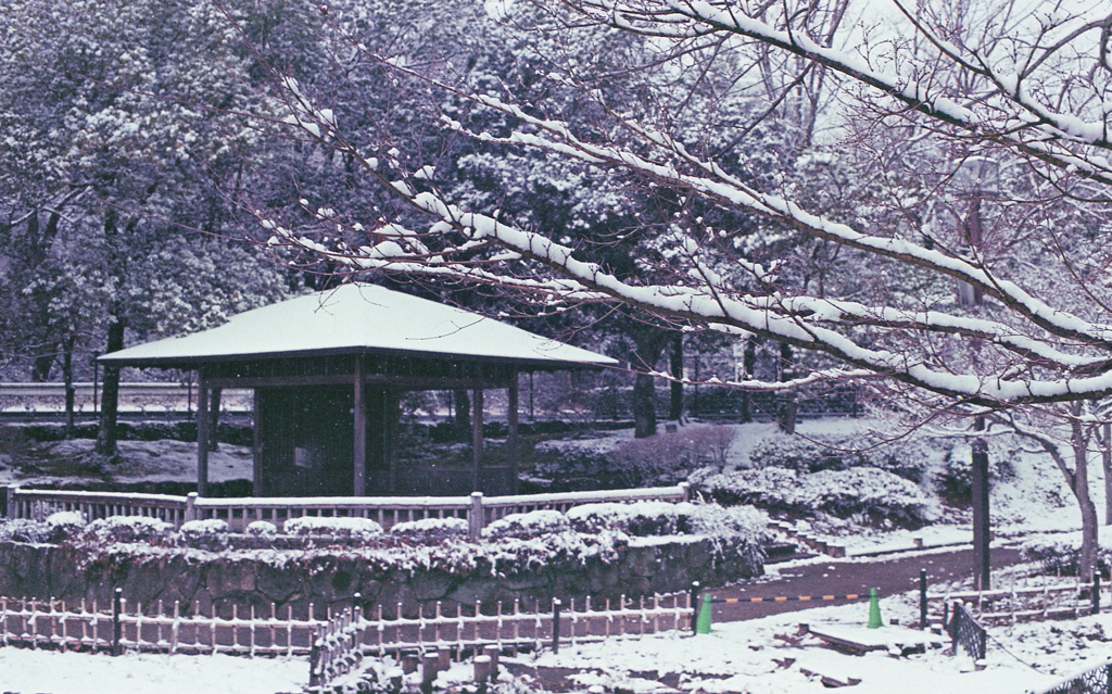屋根白き東屋