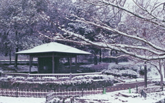 屋根白き東屋