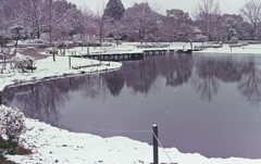 湖面の風景