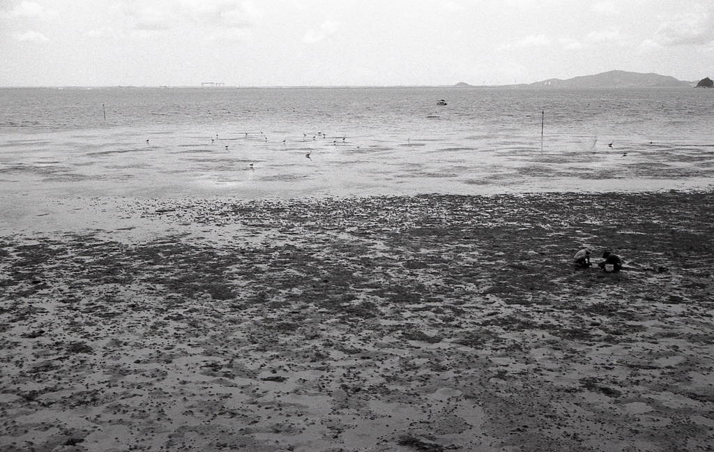 家族で潮干狩りもいいもんだね。