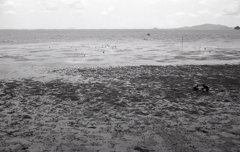 家族で潮干狩りもいいもんだね。