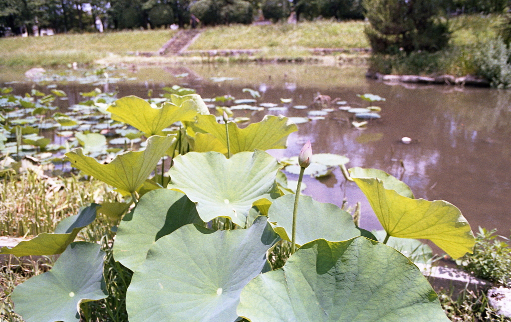 自転車で回るとまだまだ知らないところがあるんだね。