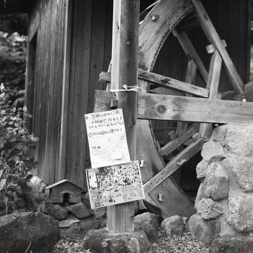 水車小屋のなぞなぞ（笑