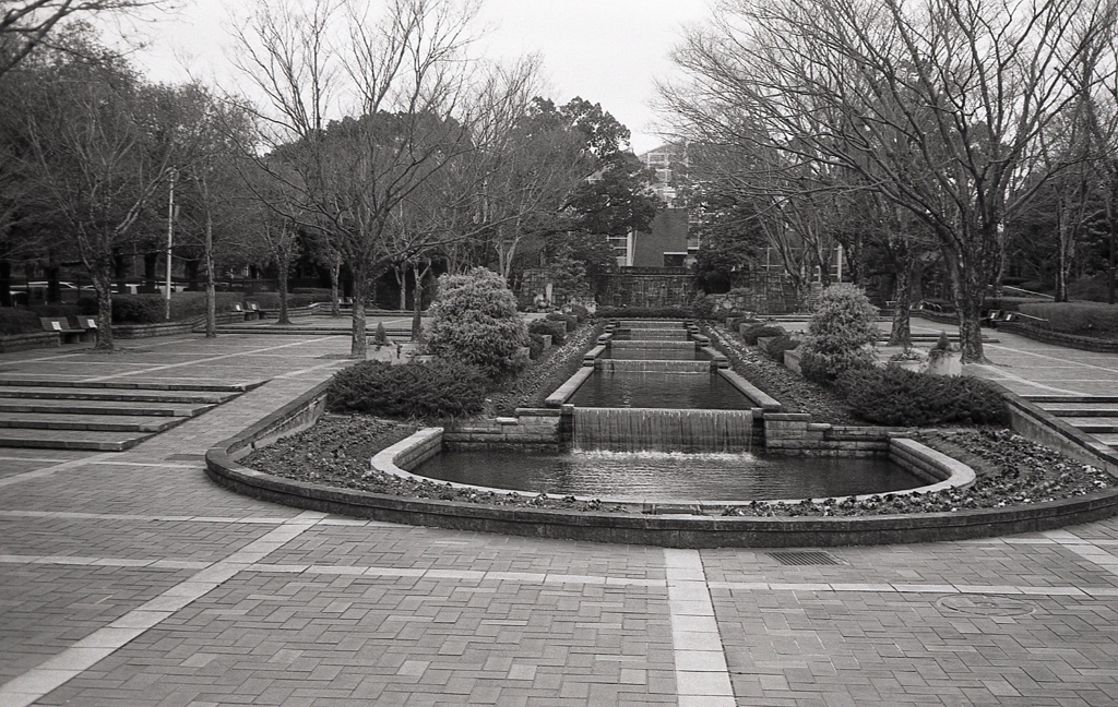 Minolta HI-MATIC E 試写Ⅹ