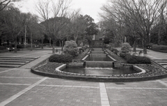 Minolta HI-MATIC E 試写Ⅹ