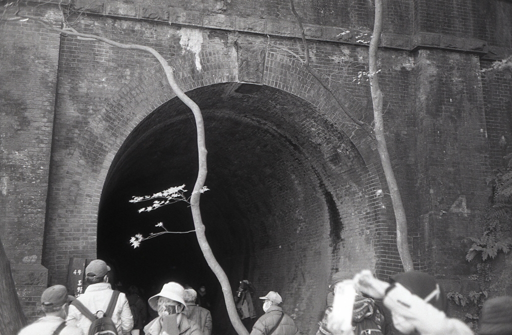 モノクロの煉瓦トンネル