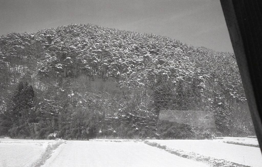 斑な雪山と真っ白な水田